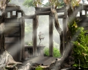 jungle temple